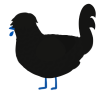 River, a black chicken with a lace pattern