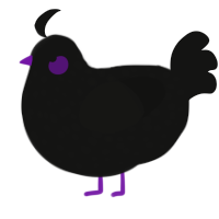 (unnamed), a black chicken with a speckle pattern