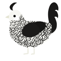 The youngest sibling, a white and sable chicken with a double-lace pattern