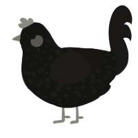 Emo son, a black and sable chicken with a speckle pattern