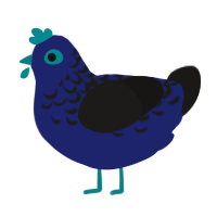 Nimue, a navy and sable chicken with a half-lace pattern