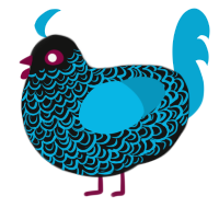 Decree, a black and cerulean chicken with a double-lace pattern