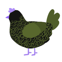 Sunset Love S, a black and olive chicken with a double-lace pattern