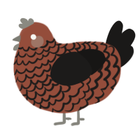 (unnamed), a russet and sable chicken with a lace pattern