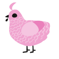 (unnamed), a pink chicken with a lace pattern