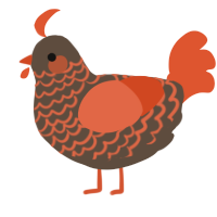 Scoria, a bark and vermilion chicken with a lace pattern