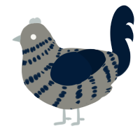 (unnamed), a ash and tumblr chicken with a bar pattern