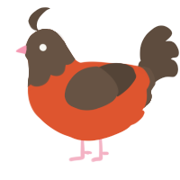 chocolate orange, a vermilion and bark chicken with a head pattern