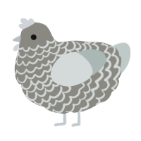 Trinket, a ash and silver chicken with a lace pattern