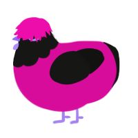 マラスキーノ, a fuchsia and black chicken with a head pattern