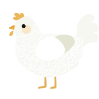 charlotte, a white chicken with a double-lace pattern