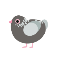 azúcar, a grey and silver chicken with a neck-speckle pattern