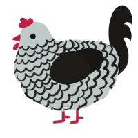 Dont Get Close, a silver and sable chicken with a lace pattern