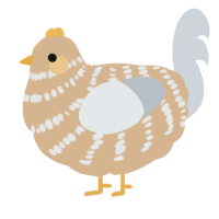 branklin, a beige and mist chicken with a bar pattern