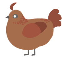 Rustina, a brown and russet chicken with a neck-speckle pattern