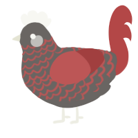 Ugly Duckling, a grey and red chicken with a lace pattern