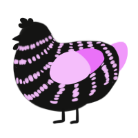 Tigerstar, a black and lavender chicken with a bar pattern