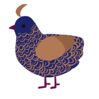 Gorgeous, a navy and brown chicken with a double-lace pattern