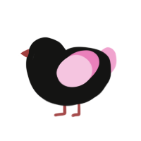 Night Bloom, a black and pink chicken