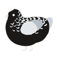 (unnamed), a sable and mist chicken with a half-lace pattern