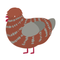 (unnamed), a russet and ash chicken with a bar pattern