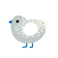 Sugar, a silver and white chicken with a half-lace pattern