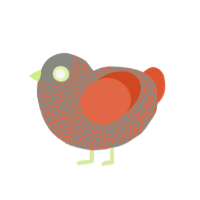 fun guy, a ash and vermilion chicken with a double-lace pattern