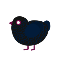 Paranoid, a black and tumblr chicken with a lace pattern