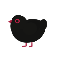 Astaroth, a black chicken with a head pattern