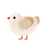 Classified, a cream and beige chicken with a half-lace pattern