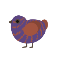 Twilight Town, a overcast and russet chicken with a bar pattern