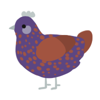 CWD, a overcast and russet chicken with a speckle pattern