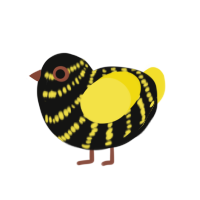 ChIcarus, a black and yellow chicken with a bar pattern