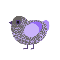 Slarry, a grey and lilac chicken with a double-lace pattern