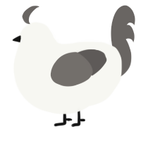 Graylist, a white and grey chicken