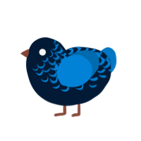 Yuasa, a tumblr and sapphire chicken with a half-lace pattern