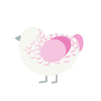 Color Humano, a white and pink chicken with a half-lace pattern