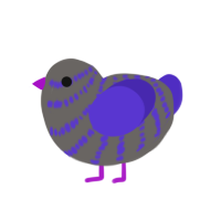 (unnamed), a grey and indigo chicken with a bar pattern