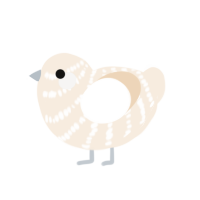 coconut, a cream chicken with a bar pattern