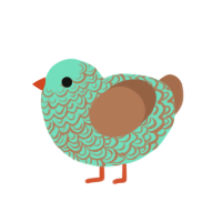 chocomint, a mint and brown chicken with a double-lace pattern