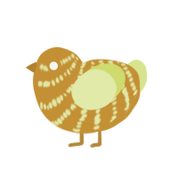 Gilderoy, a gold and lemon chicken with a bar pattern