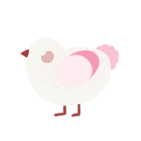 Pinky, a white and rose chicken with a half-lace pattern