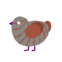 (unnamed), a ash and russet chicken with a bar pattern