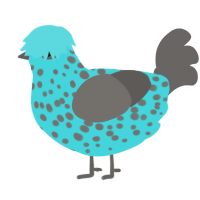 P03, a aqua and grey chicken with a head pattern