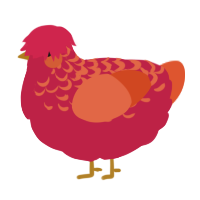 sunset, a crimson and vermilion chicken with a half-lace pattern