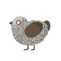 (unnamed), a silver and bark chicken with a double-lace pattern