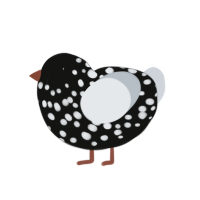 (unnamed), a black and mist chicken with a speckle pattern