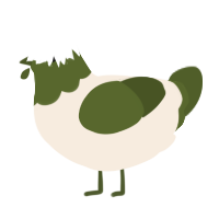 Oliver, a cream and olive chicken with a head pattern