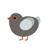 (unnamed), a grey and silver chicken