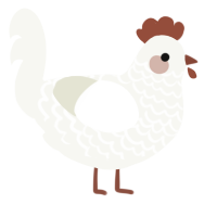 Cent, a white chicken with a lace pattern